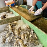 ヤマサ水産 総本店 - デカッ！！