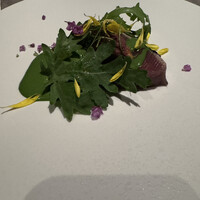 ブリーズ オブ トウキョウ -  ブリーズ オブ トウキョウ -