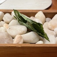 ル スプートニク - 