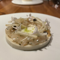 ル スプートニク - 