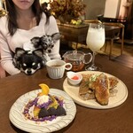 Lecoin キタサンドウ - 