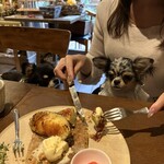 Lecoin キタサンドウ - 