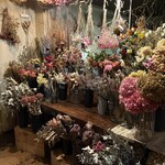 Lecoin キタサンドウ - 