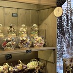 Lecoin キタサンドウ - 