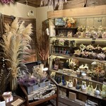 Lecoin キタサンドウ - 