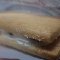 テラコヤ - TERAKOYAオリーブ・サンド