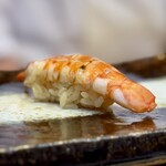 THE SUSHI TOKYO 旬 - 車海老