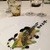 ボウ・デパール青山倶楽部 - 料理写真:冷前菜 アオリイカのセビーチェ サラダ仕立て