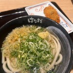 はなまるうどん - 料理写真: