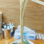 中華そば専門店 笠北 - 笠岡ラーメン 麺の状態 (2025.10.30)