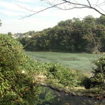 京亭 - 庭園から見る荒川