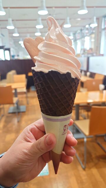 食事処 ねまる &ndash; 芦沢（食堂）| 山形・尾花沢の地元食堂