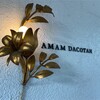 amam dacotan - 
