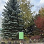 レストラン・アスペルジュ - 