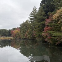 ボーセジュール - 