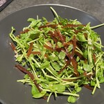 サラム小尾羊 - 