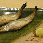 伊吹 - 鵡川の本ししゃも