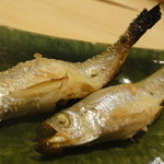 伊吹 - 手前は雄・奥が雌