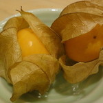 伊吹 - ホウズキトマト