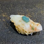 すし あお - 増毛ぼたんエビ