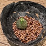 レヴォ - 甘鯛のクロケット