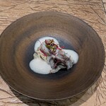 レヴォ - アオリイカ