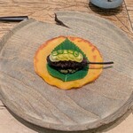 レヴォ - スッポン