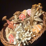 山小屋 居酒屋 Sumika - 