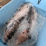 株式会社 磯屋水産 - 