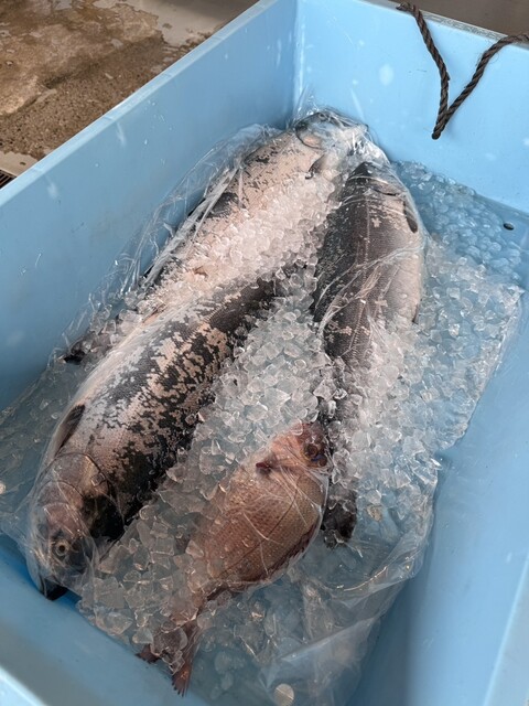 株式会社 磯屋水産（カブシキガイシャ イソヤスイサン） - 南気仙沼（その他）の写真