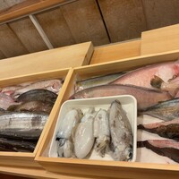 赤吉 - 本日のお魚