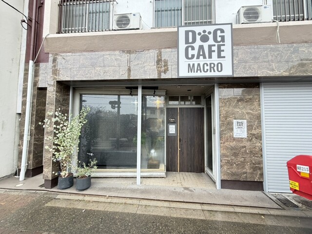 DOG CAFE MACRO photo 4