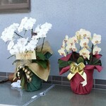 美味しんぼ - 開店祝いのお花も有りました！