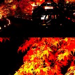 山麓園 - 河口湖の紅葉祭