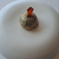 ワインラウンジ&レストラン セパージュ 名古屋店 -  ワインラウンジ&レストラン セパージュ 名古屋店 -