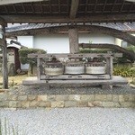 三谷製糖 羽根さぬき本舗 - 