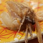 回転寿し トリトン - シャコくん。