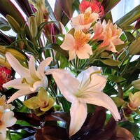 ル フェドラ - 華やかな生花が食事に彩を添えます