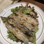 フレンチカレー スプーン - 