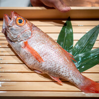 のどぐろ専門 銀座中俣 極 - 