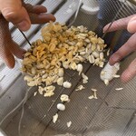 中山コーヒー園 - 