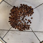 中山コーヒー園 - 