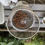 中山コーヒー園 - 