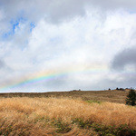 王ヶ頭ホテル - 美ヶ原高原の虹。キレイなスペクトル(2014.10月)
