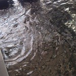 シグネチャー - 