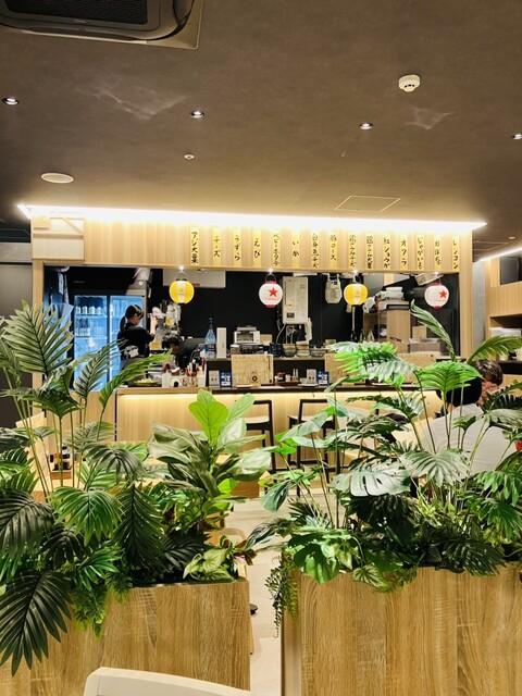 Kyoto Kairashi Kushiage to Doteyaki Bivi Nijo photo 4