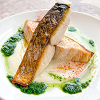 "寒トロサワラ"のプランチャ、紀の里産かぶのクリームソースと春菊のサルサヴェルデ