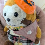ベジバル チバットリア - ラスちゃんもハロウィン気分です♡(＾(ェ)＾)ｵｶｼﾁｮｰﾀﾞｲ♡