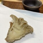 特撰ひやむぎ きわだち - 