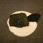 モンプチコションローズ - 